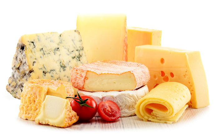 Top useful properties of cheese for the body