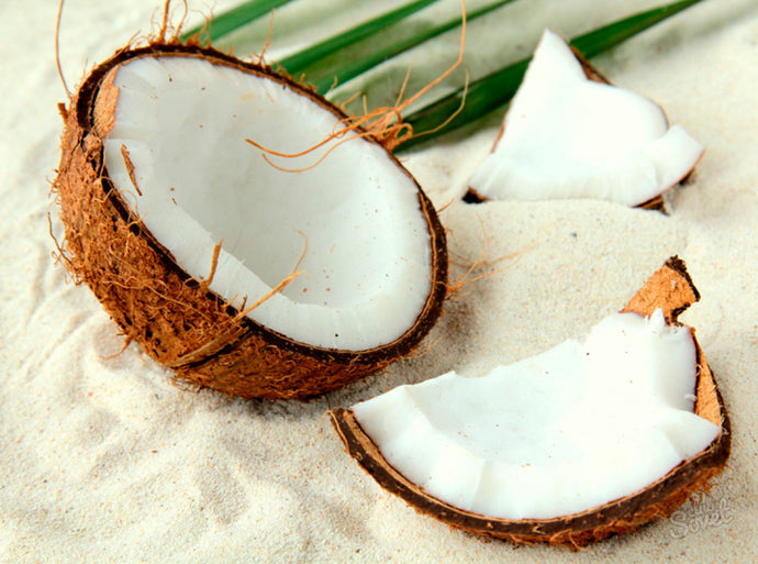 Coconut pulp: uses and benefits